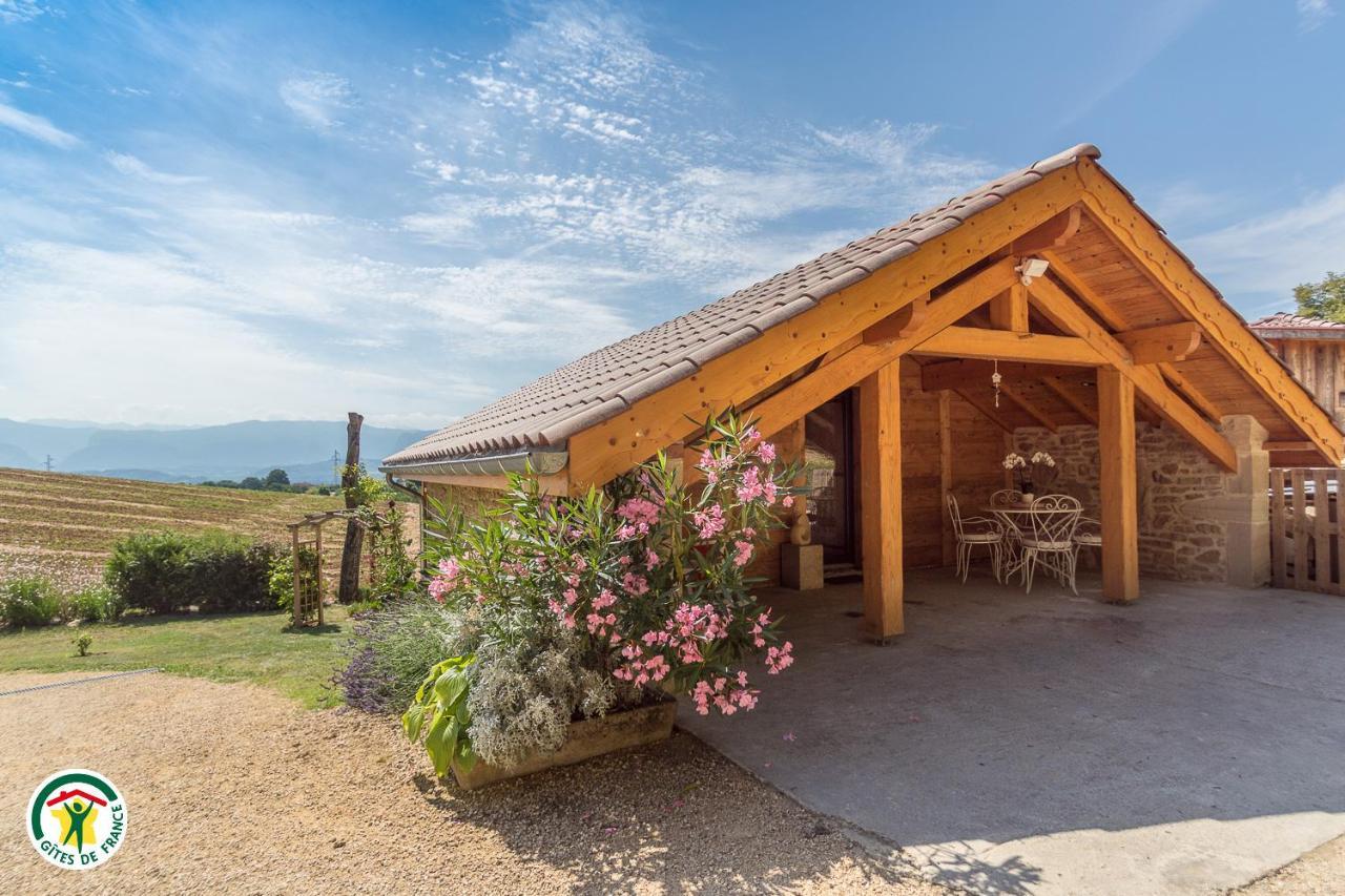 Chalet Le Clos De L'Orme Saint-Lattier 외부 사진
