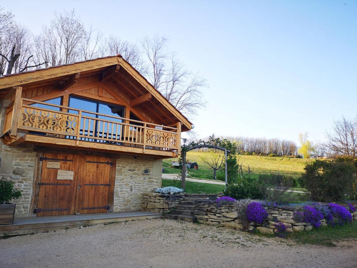 Chalet Le Clos De L'Orme Saint-Lattier 외부 사진
